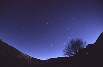 Biosphoto | 1254886 | 3 étoiles filantes de l'essaim des Léonides France | &copy; Laurent Laveder / Biosphoto