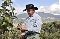 Biosphoto | 1610324 | A farmer wearing a cowboy hat harvesting Cape gooseberries (Physalis peruviana), Mochuelo Alto, Bogota, Colombia, South America | &copy; Florian Kopp / imageBROKER / Biosphoto