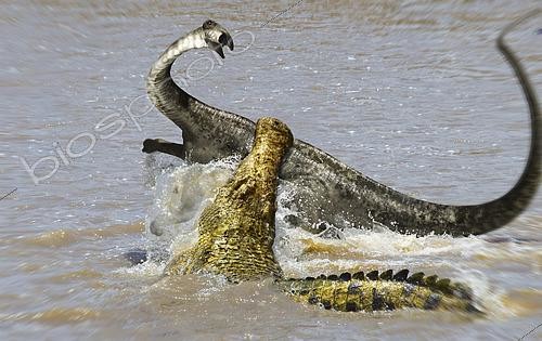 Biosphoto | 2476569 | A gigantic Sarcosuchus has caught a Nigersaurus trying to cross the river. | &copy; Jose Antonio Penas / Stocktrek Images / Biosphoto
