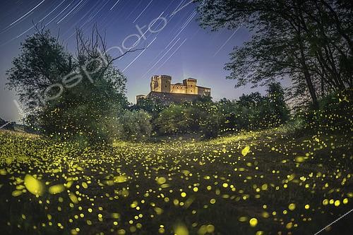 Biosphoto | 2613639 | A multitude of fireflies in front of Torrechiara Castle, Parma, Italy | &copy; Alberto Ghizzi Panizza / Biosphoto