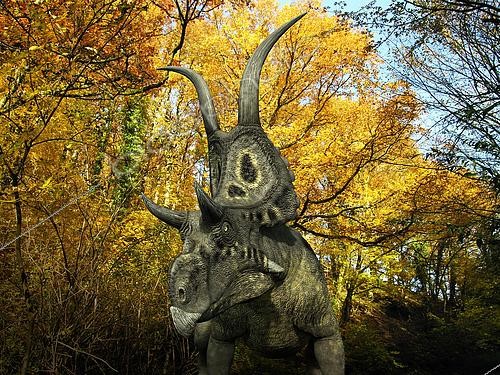 Biosphoto | 2479023 | A one ton, 20 foot long Diabloceratops wanders a Cretaceous forest 70 million years ago in what is today Utah. . Like the better known Triceratops, Diabloceratops was a Ceratopsid, a large four-legged plant-eating dinosaur characterized by beaks, rows of shearing teeth in the back of the jaw, and elaborate horns and frills. While they resemble defensive shields, the frills are in fact relatively fragile, suggesting that they may have served a purpose other than protecting against a brute force attack. One possibility is that the frills were employed as visual displays in order to intimidate rivals and attract the opposite sex. | &copy; Walter Myers / Stocktrek Images / Biosphoto