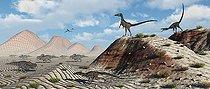 Biosphoto | 2477530 | A pack of carnivorous velociraptors stalking a herd of herbivorous Protoceratops dinosaurs. | &copy; Mark Stevenson / Stocktrek Images / Biosphoto