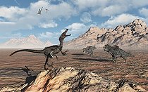 Biosphoto | 2477852 | A predatory Velociraptor stalking a pair of Protoceratops during Earth's Cretaceous period. | &copy; Mark Stevenson / Stocktrek Images / Biosphoto
