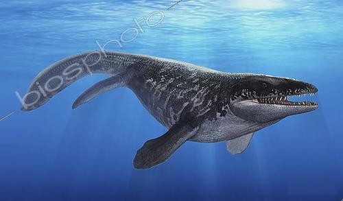 Biosphoto | 2478543 | A Prognathodon saturator swimming in prehistoric waters. | &copy; Sergey Krasovskiy / Stocktrek Images / Biosphoto
