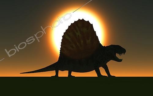 Biosphoto | 2477559 | A sail-backed Dimetrodon from Earth's Permian period of time. | &copy; Mark Stevenson / Stocktrek Images / Biosphoto
