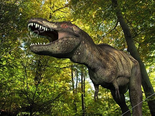 Biosphoto | 2479052 | A seven ton Tyrannosaurus wanders a Cretaceous forest 68 million years ago in what is today the Western United States. | &copy; Walter Myers / Stocktrek Images / Biosphoto
