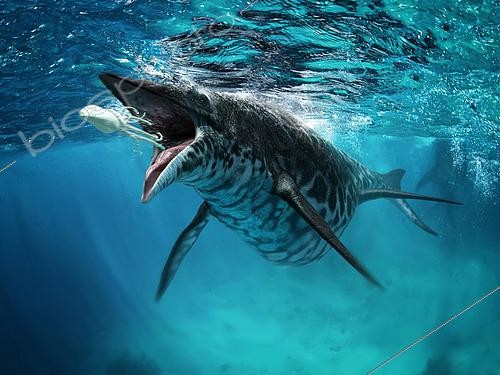 Biosphoto | 2476571 | A Shastasaurus prepares to swallow a cephalopod. | &copy; Jose Antonio Penas / Stocktrek Images / Biosphoto