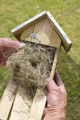 Biosphoto | 581946 | Abri à insectes utiles pour le jardin France | &copy; Claudius Thiriet / Biosphoto
