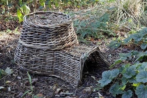 Biosphoto | 1250761 | Abri en osier à hérissons dans un jardin | &copy; NouN / Biosphoto