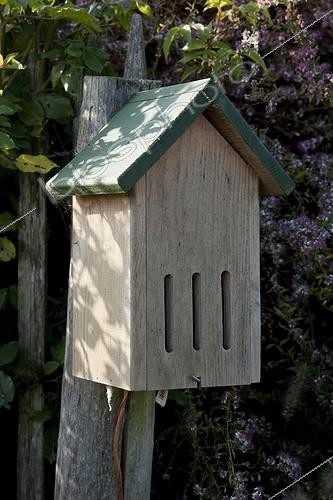 Biosphoto | 1330254 | Abri pour papillons dans un jardin | &copy; NouN / Biosphoto