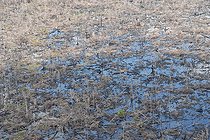 Biosphoto | 1254302 | Aerial burned lowland swamp forest Borneo | &copy; Alain Compost  / Biosphoto