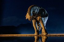Biosphoto | 2605433 | African Savanna Elephant or Savanna Elephant (Loxodonta africana), drinking by night at the waterhole, Shompole wilderness, Shompole Community, Kenya, East Africa, Africa | &copy; Sylvain Cordier / Biosphoto