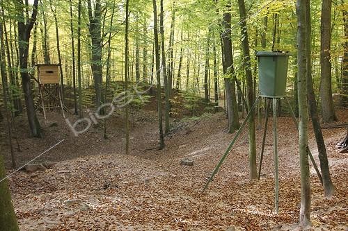 Biosphoto | 1621923 | Agrainoir à sangliers en face d'un mirador en forêt France | &copy; Thierry Reminiac / Biosphoto