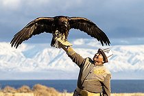 Biosphoto | 2593211 | Aiglier kirghize au bord du lac Issik-kul | &copy; Bastien Chaix / Biosphoto
