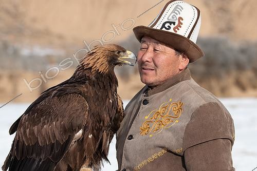 Biosphoto | 2551391 | Aiglier kirghize (Berkutchi) avec un Kalpak, portant son aigle, Yssyk Koul, Kirghizistan | &copy; Bastien Chaix / Biosphoto