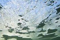 Biosphoto | 1248980 | Air bubbles beneath the frozen surface of Lake Narlay Jura France | &copy; Michel Loup / Biosphoto