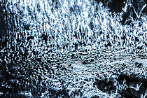 Biosphoto | 2621364 | Air bubbles in ice | &copy; Philippe Lebeaux / Biosphoto
