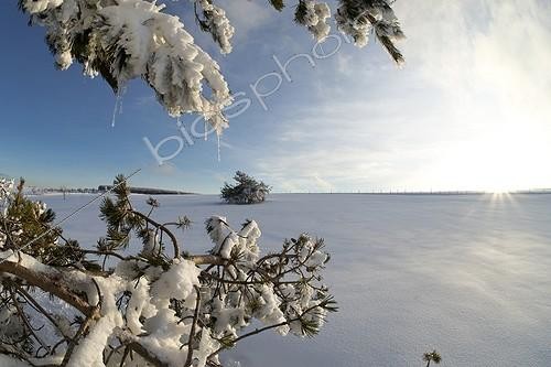 Biosphoto | 1987573 | Allebasses mountain in winter - Monts du Forez France | &copy; Hervé Chellé  / Biosphoto