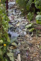Biosphoto | 1249752 | Allée couverte de feuilles dans un jardin potager biologique | &copy; NouN / Biosphoto
