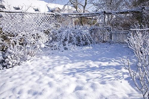 Biosphoto | 108325 | Allée de jardin bordée de vivaces sous la neige en mars  ; Le Jardin des Rosiers France | &copy; NouN / Biosphoto