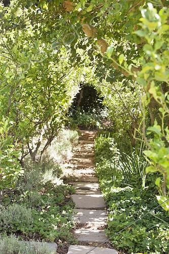 Biosphoto | 1757748 | Allée entre les arbres | &copy; Fabrice Lerouge / Photononstop / Biosphoto