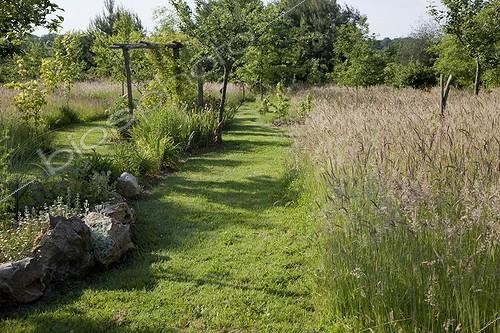 Biosphoto | 997788 | Alley cropped in a tallgrass meadow France  | &copy; NouN / Biosphoto