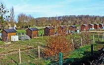 Biosphoto | 2575902 | Allotment garden shelters, Change, Sarthe, Pays de la Loire, France | &copy; Michel Gile / Biosphoto