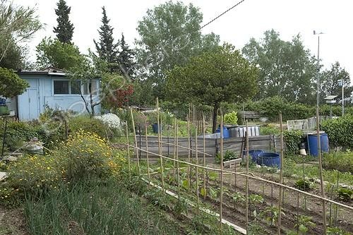 Biosphoto | 1201201 | Allotments Aygalades in spring in Marseille France | &copy; Philippe Giraud / Biosphoto