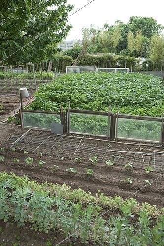 Biosphoto | 1201206 | Allotments Aygalades in spring in Marseille France | &copy; Philippe Giraud / Biosphoto