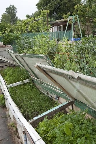 Biosphoto | 1201209 | Allotments Aygalades in spring in Marseille France | &copy; Philippe Giraud / Biosphoto