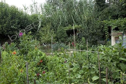 Biosphoto | 1200838 | Allotments Aygalades in summer Marseille France | &copy; Philippe Giraud / Biosphoto