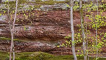 Biosphoto | 2427285 | Alveolar erosion in a pink sandstone wall at Volzia, Vosges du Nord Regional Nature Park, France | &copy; Michel Rauch / Biosphoto