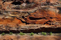 Biosphoto | 2394270 | Alveolar erosion on sandstone rocks, Erbsenfels rock, Vosges du Nord Regional Nature Park, France | &copy; Michel Rauch / Biosphoto