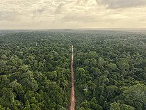 Biosphoto | 2597609 | Amazone rainforest road, Guiana Shield, Surinam | &copy; Matthijs Kuijpers / Biosphoto