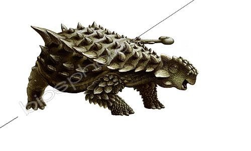 Biosphoto | 2479126 | An armored Saichania ankylosaurid, white background. | &copy; Yuriy Priymak / Stocktrek Images / Biosphoto