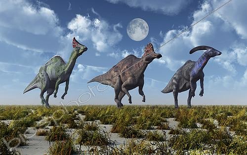 Biosphoto | 2477898 | An Orolotitan, a Corythosaurus and a Parasaurolphus duckbilled dinosaur during Earth's Cretaceous period. | &copy; Mark Stevenson / Stocktrek Images / Biosphoto
