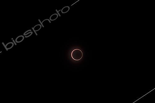 Biosphoto | 653085 | Annular eclipse of the Sun view in Java Indonesia ; Annular Solar Eclipse 01/26/2009 | &copy; Olivier Sauzereau / Biosphoto