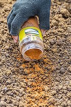 Biosphoto | 2436508 | Application of chilli powder against rodents on a young seedling, in the spring | &copy; Jean-Michel Groult / Biosphoto