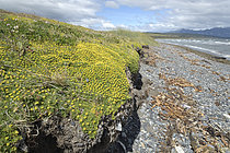 Biosphoto | 2608952 | Approaching Puerto Natales on the Ultima Esperanza Fjord, Magallanes Region and Chilean Antarctic, Chile | &copy; Jean-Claude Malausa / Biosphoto