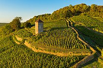 Biosphoto | 2558196 | Arbois et son vignoble AOC, Arbois, Jura , France | &copy; Stéphane Godin / Biosphoto