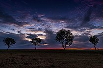 Biosphoto | 2455434 | Arbres sur une ligne de crête au crépuscule en été, Rahling, Moselle, France | &copy; Yann Avril / Biosphoto