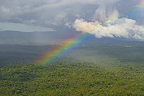 Biosphoto | 2583258 | Arc-en-ciel surplombant la forêt amazonienne. Scène insolite depuis un hélicoptère, après la pluie, le beau temps et pas n'importe lequel. Les rayons du soleil permettent à un arc en ciel, tiré tout droit d'un film, de sortir de cette forêt tropicale dense - Guyane Française. | &copy; Vincent Premel / Biosphoto