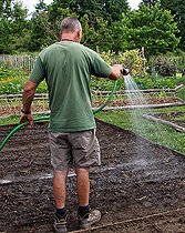 Biosphoto | 2575254 | Arche de la Nature gardener watering seedlings in the vegetable garden, Sarthe, France | &copy; Michel Gile / Biosphoto