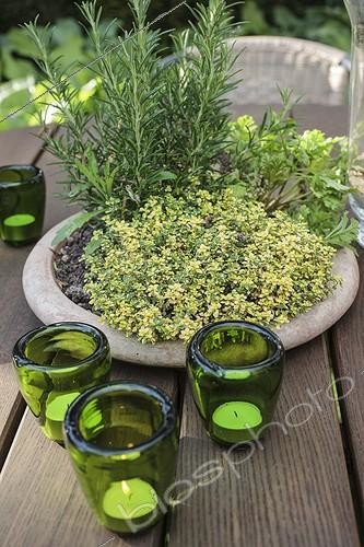 Biosphoto | 2046584 | Aromatic plants in pot on a table garden | &copy; Jean-Michel Groult / Biosphoto