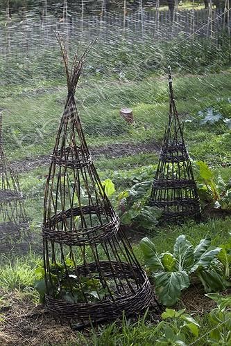 Biosphoto | 1367724 | Arrosage automatique dans un jardin potager | &copy; Philippe Giraud / Biosphoto