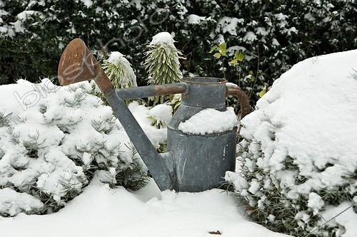 Biosphoto | 696786 | Arrosoir sous la neige en Provence | &copy; Philippe Giraud / Biosphoto