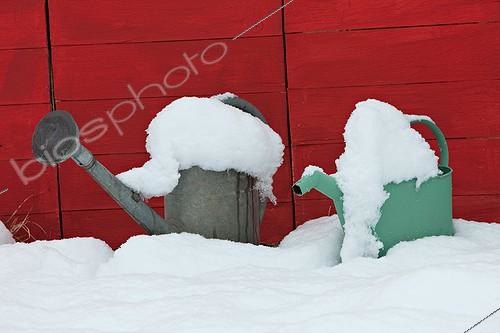 Biosphoto | 1091146 | Arrosoirs dans la neige au jardin | &copy; Philippe Giraud / Biosphoto