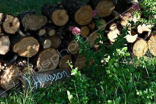 Biosphoto | 890665 |  Attention Hérisson  devant un tas de bûches au jardin | &copy; Philippe Giraud / Biosphoto