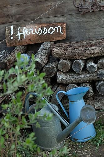 Biosphoto | 890766 |  Attention Hérisson  in front of a stack of wood in a garden | &copy; Philippe Giraud / Biosphoto