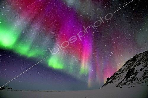 Biosphoto | 2561241 | Aurora borealis, Cape Hoegh, north-east coast of Greenland | &copy; Pierre Vernay / Biosphoto